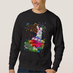 Sudadera Camión conejo gato Ragdoll Caza de huevos Pascua D
