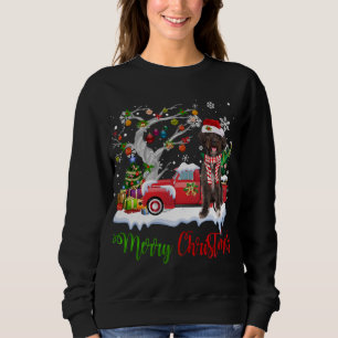 Sudadera Camión Rojo Merry Christmas Tree Schnoodle Pajama