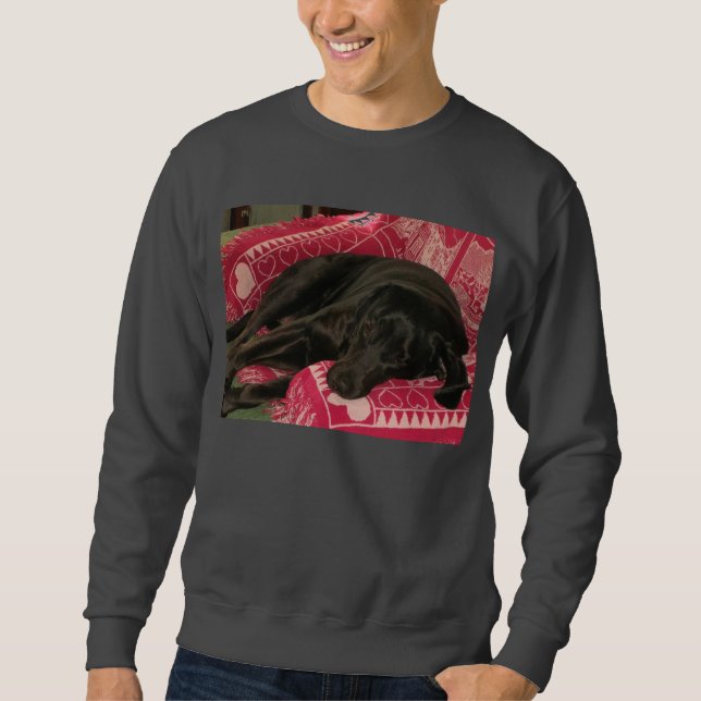 Sudadera Camisas de perros espantadas (Anverso)