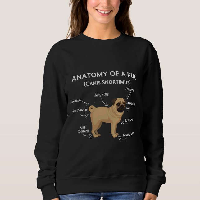 Sudadera Camiseta 40 de Pug Anatomy Classic (Anverso)