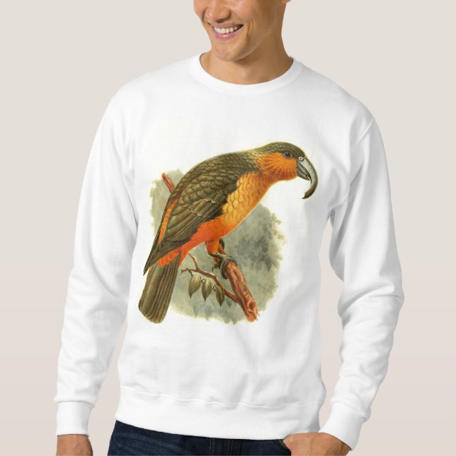 Sudadera Camiseta básica de Nestor Norfolcensis (Anverso)