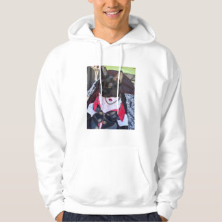 Sudadera Camiseta de Freddie