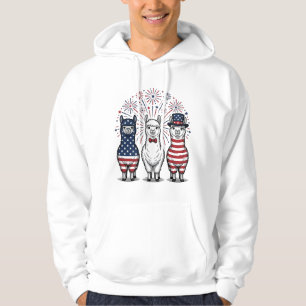 Sudadera Camiseta de vector vintage de fuegos artificiales