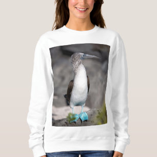 Sudadera Camiseta elegante - Perfecto para el uso diario