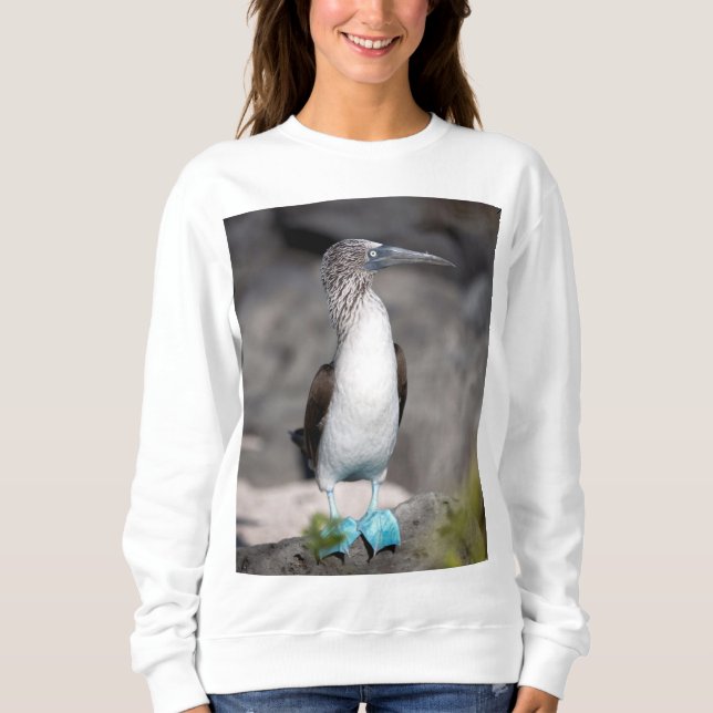 Sudadera Camiseta elegante - Perfecto para el uso diario (Anverso)