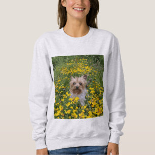 Sudadera campo de Yorkshire Terrier