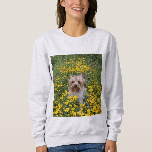 Sudadera campo de Yorkshire Terrier (Anverso)