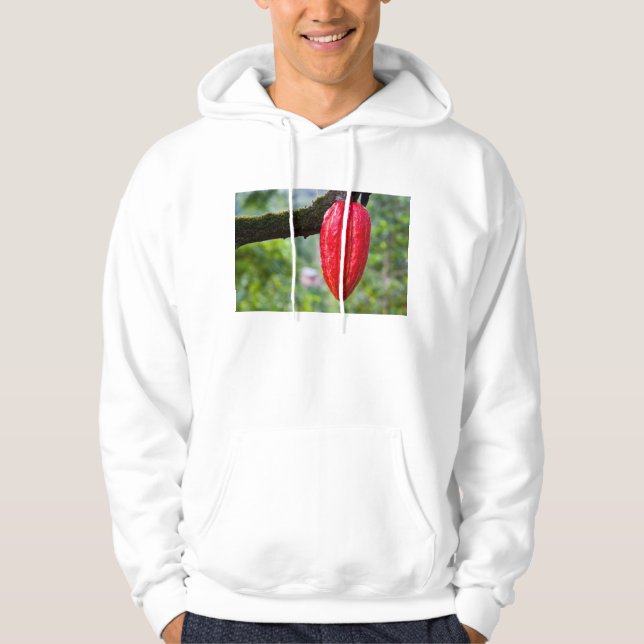 Sudadera caña de cacao (Anverso)