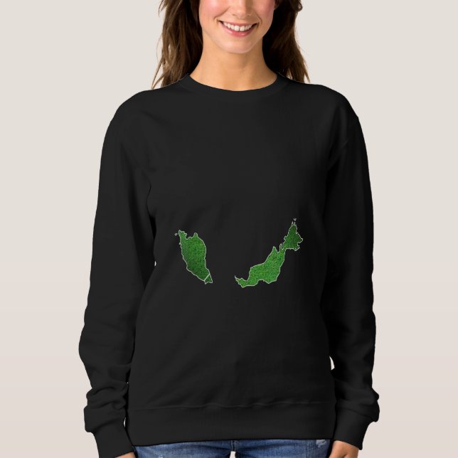 Sudadera Cancha de fútbol de Malasia (Anverso)