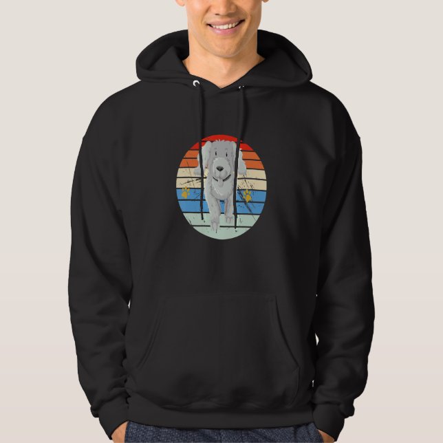 Sudadera Caniche Retro Vintage (Anverso)