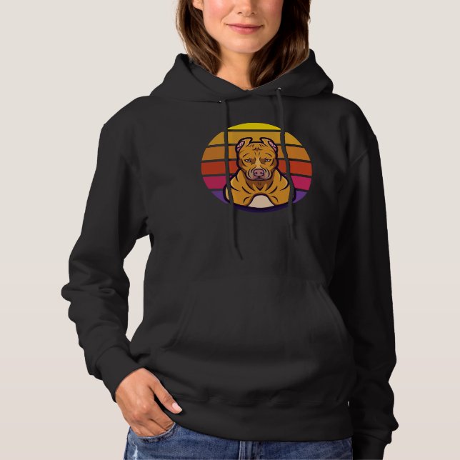 Sudadera Captura de pantalla de Retro Pitbull (Anverso)