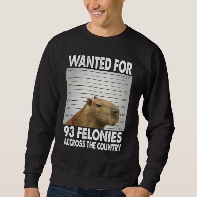 Sudadera Capybara Mugshot Wanted For 93 Felonies Across The (Anverso)