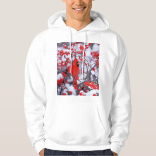 Sudadera Cardenal norteño macho, Invierno, IL