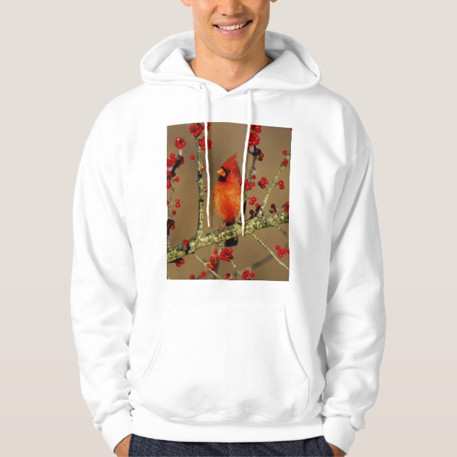Sudadera Cardenal norteño macho posado, IL (Anverso)