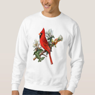 Sudadera Cardenal Rojo Del Norte Perch En Un Cardenal Rama