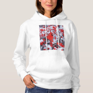 Sudadera Cardenal septentrional masculino, invierno, IL