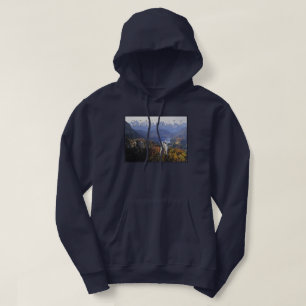 Sudadera Castillo de Neuschwanstein   Alemania, Baviera