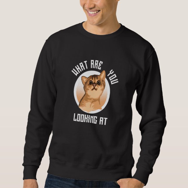 Sudadera Cat Baby   What Are You Looking At (Anverso)