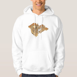 Sudadera Catedral de León. España