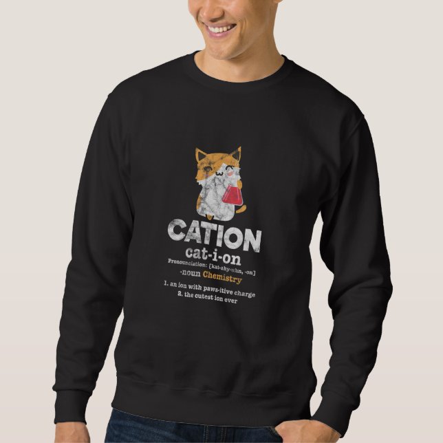 Sudadera Cation Cat Ion Science Chemistry Definition Distre (Anverso)