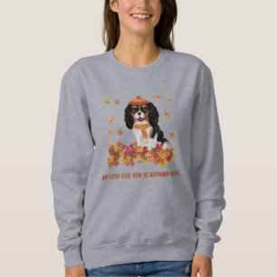 Sudadera Cavalier SpanielSweats con tres colores persona
