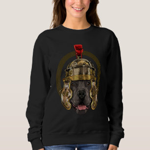 Sudadera Centurion American Pit Bull Terrier Roma antigua R