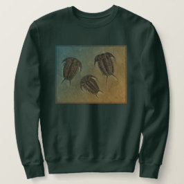 Sudadera Ceraurus y Leviceraurus