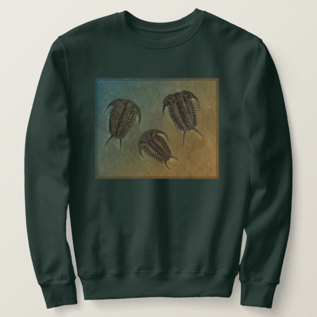 Sudadera Ceraurus y Leviceraurus (Anverso del diseño)