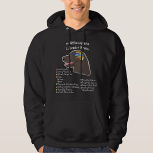 Sudadera Cerebro de Labrador Negro Chocolate Amarillo Lab L