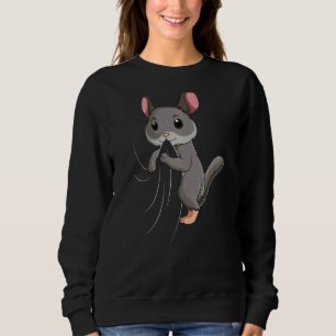 Sudadera Chicas de niños de Chinchilla