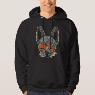 Sudadera Chihuahua en gafas de sol de calabaza