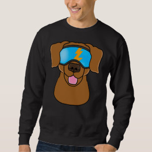 Sudadera Chocolate de Labrador