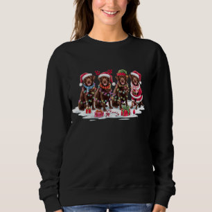 Sudadera chocolates de Labrador Santa hat rivalizan con ele