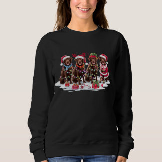 Sudadera chocolates de Labrador Santa hat rivalizan con ele