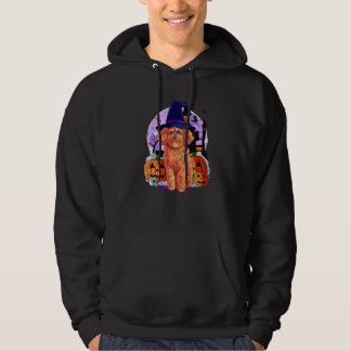 Sudadera Cockapoo Perro Lindo Halloween Bruja Calabaza