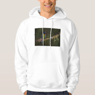 Sudadera Colibrí