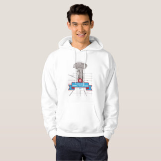 Sudadera con capucha de DCSFA