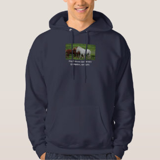 Sudadera con capucha del caballo de proyecto