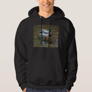 Sudadera con capucha Mallard Duck/Creek Cotton