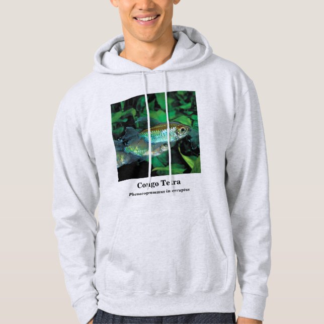 Sudadera Congo tetra , Phenacogrammus interruptus (Anverso)
