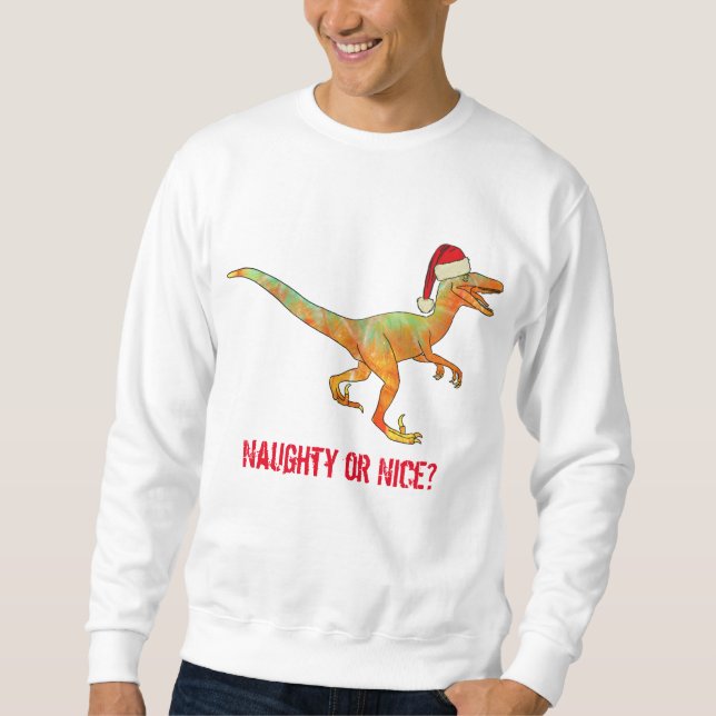 Sudadera Consigna divertida de Raptor de la fiesta de los d (Anverso)