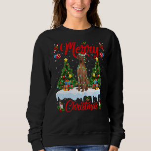 Sudadera Coonhound Dog Lights Xmas Tree Santa Coonhound Chr