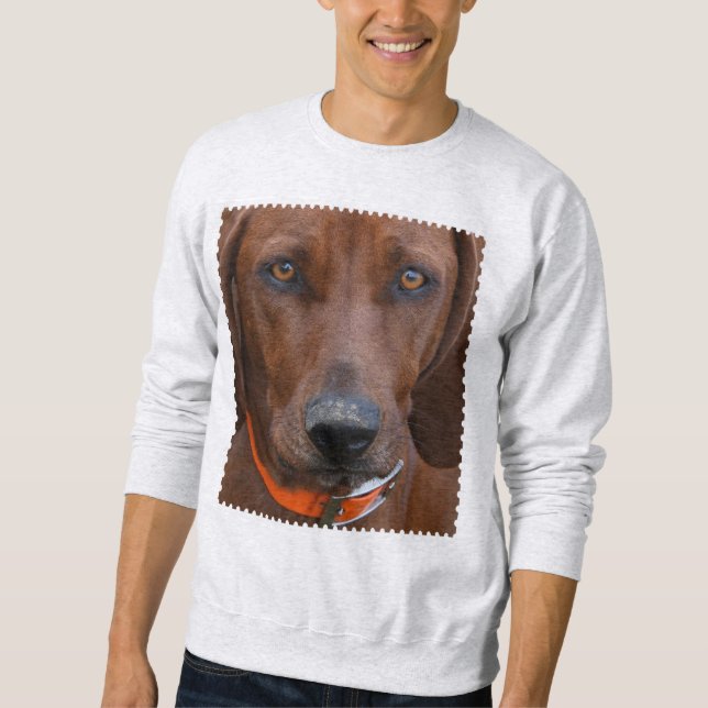 Sudadera Coonhound Redbone Ha Estado Cavando (Anverso)
