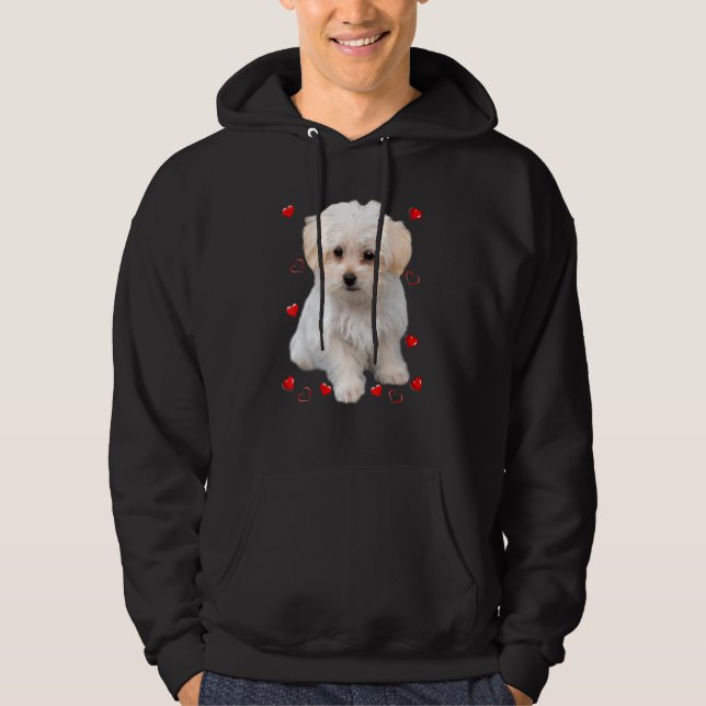 Sudadera Corazones de Cachorro Maltés (Anverso)