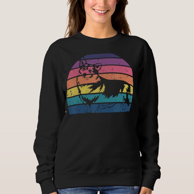 Sudadera Corgi 1 (Anverso)