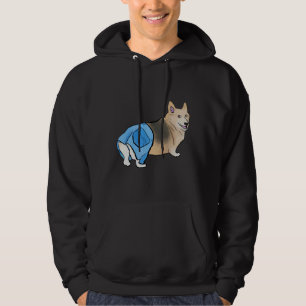 Sudadera Corgi con pantalones
