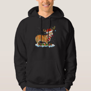 Sudadera Corgi Dog Iluminando a Santa Reindeer Gorra Corgi 