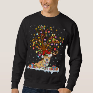 Sudadera Corgi Iluminación Árbol de Navidad Regalo Corgi Ár
