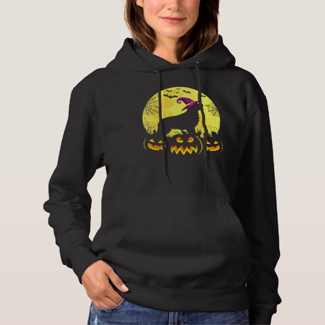 Sudadera Costume Halloween Golden Retriever Witch Hat (Anverso)