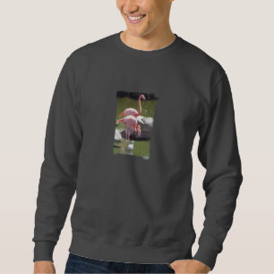 Sudadera Crecer la camiseta del flamenco